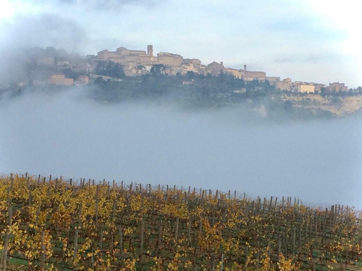 The Grapevine By Manvi Bed and Breakfast Montepulciano Stazione Buitenkant foto